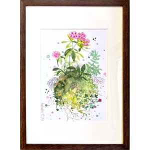 Lisbeth Thygesen, Galleri kbh kunst, akvarel, gouache, planter, blomster, natur, billig kunst, papirværk