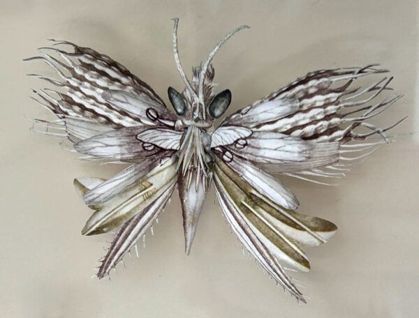 Iben Toft Nørgård - Reverse Mimicry - Image 3