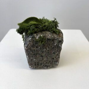 Lisbeth Thygesen, Galleri kbh kunst, Mended Nature, mixed media, kunst, contemporary art, billig kunst, natur,