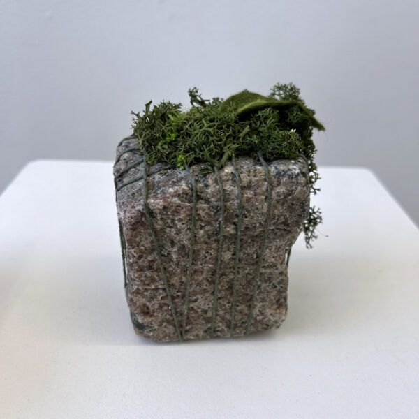 Lisbeth Thygesen - Mended nature 5 - Image 4